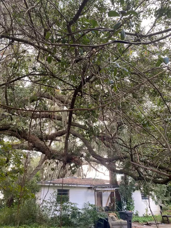 Lake Wales, FL 33859,725 HICKORY HAMMOCK RD