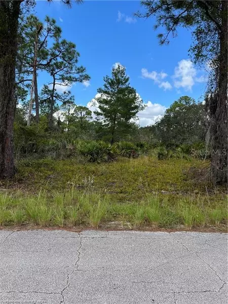549 VANGUARD AVE NW, Lake Placid, FL 33852