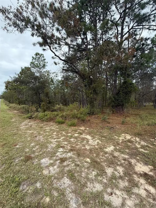 Dunnellon, FL 34431,NW AMBERJACK AVE