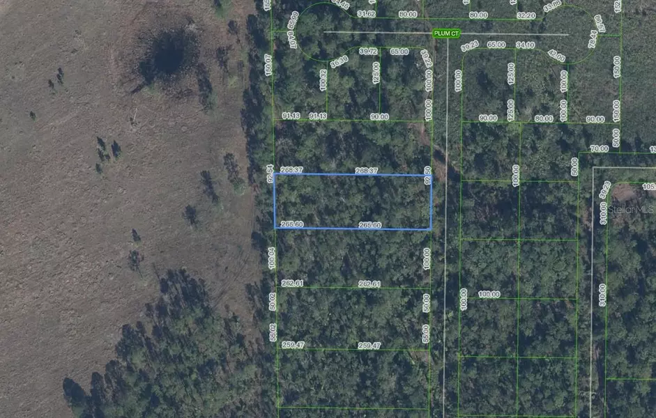 4705 RHUBARB ST, Sebring, FL 33875
