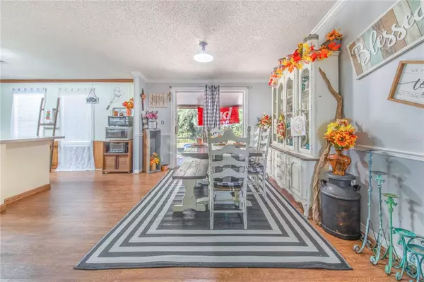 Mulberry, FL 33860,4447 LOWER MEADOW RD