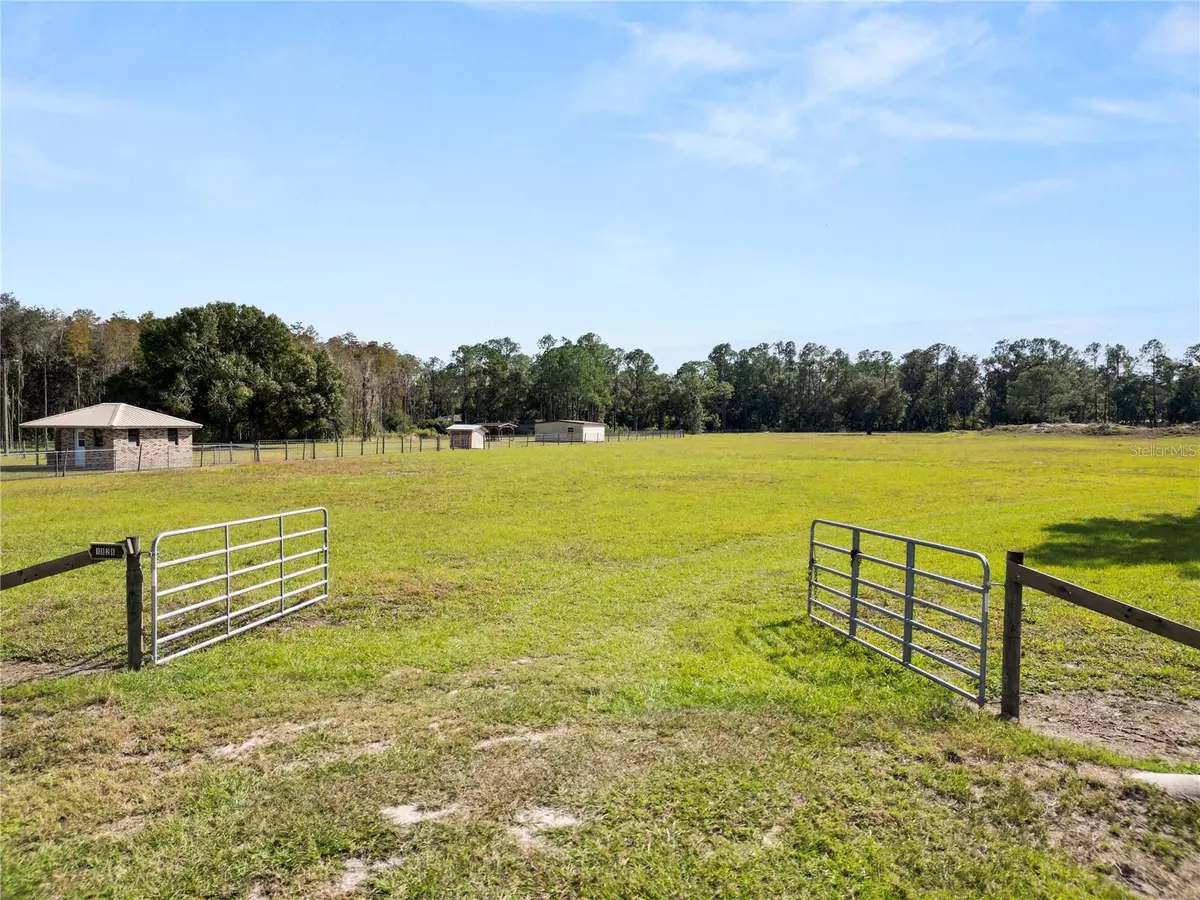 Lakeland, FL 33809,1828 GATOR CREEK RANCH RD
