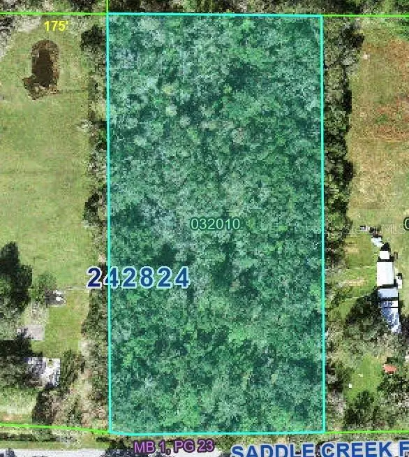 4520 E SADDLE CREEK FARM RD, Lakeland, FL 33801