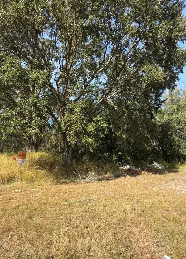 Poinciana, FL 34759,AUDUBON RD