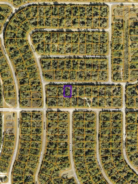 CAIMITO LOT #3 AVE, North Port, FL 34288