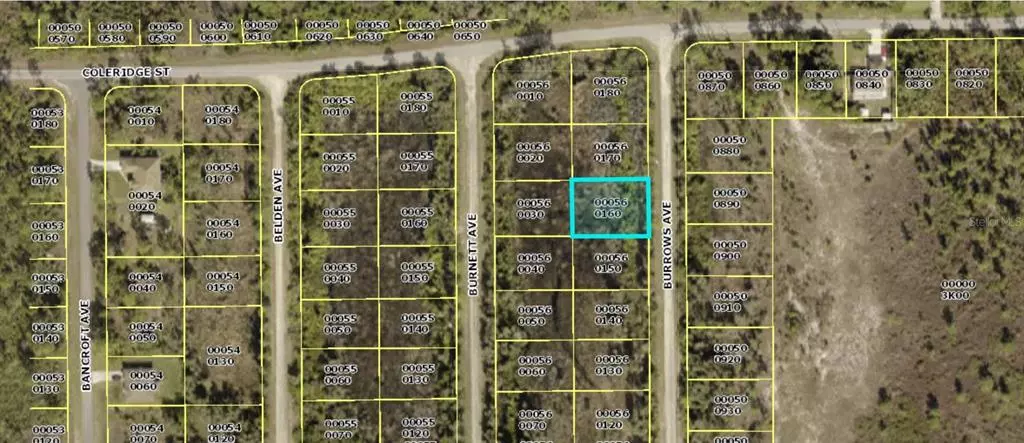 Lehigh Acres, FL 33974,852 BURROWS AVE