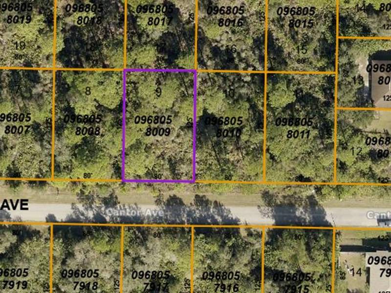 LOT 9 CANTOR AVE, North Port, FL 34291