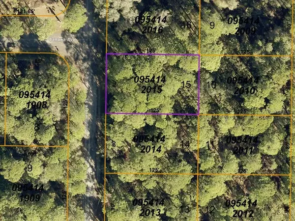 LOT 15 BACHMEYERE ST, North Port, FL 34291