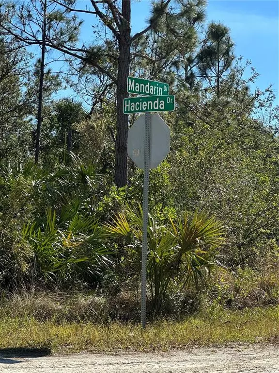 Punta Gorda, FL 33955,27221 HACIENDA DR