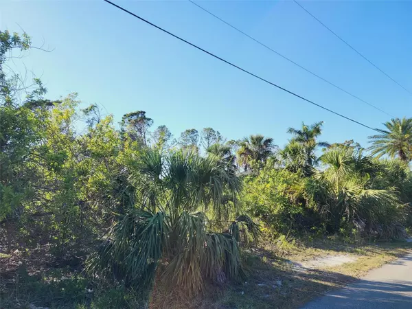 North Port, FL 34288,lot 24 LOVETT RD