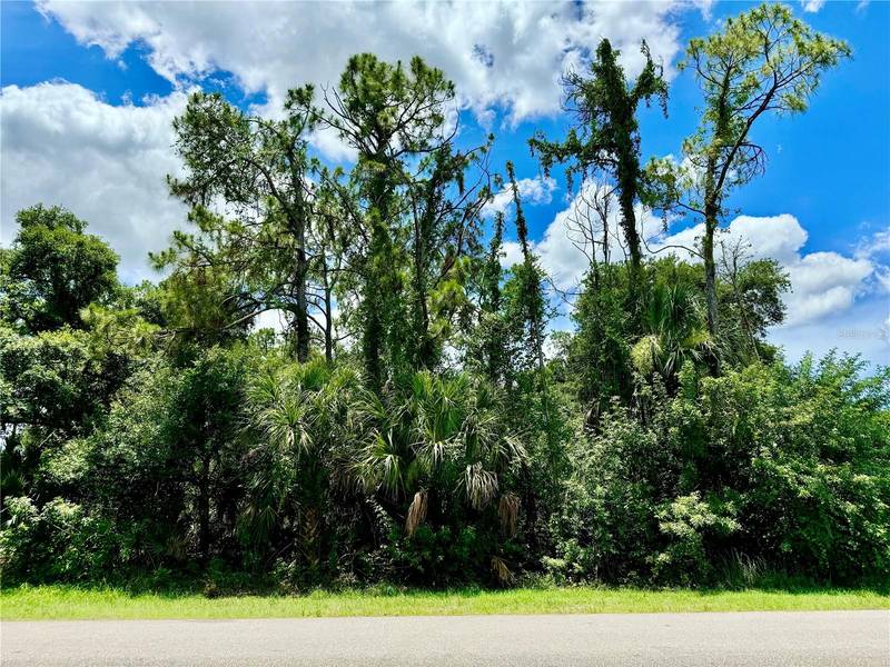 Lot 29 SHEBOYGAN AVE, North Port, FL 34286