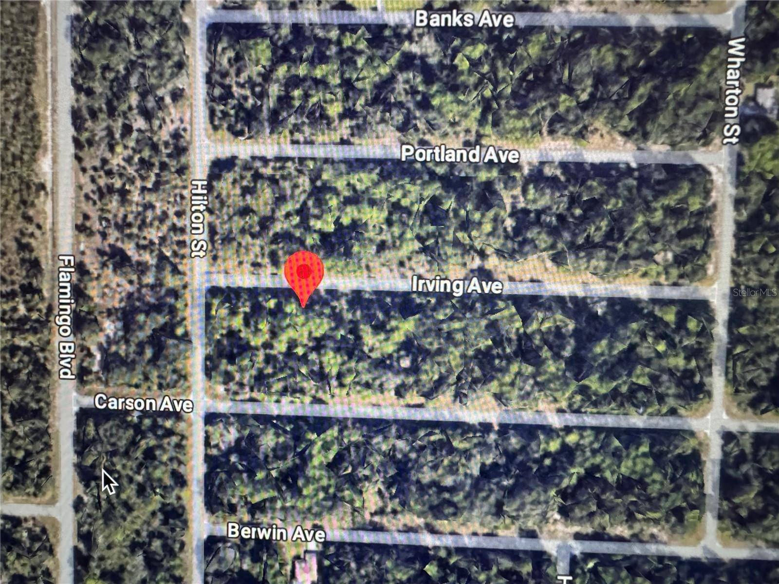 Port Charlotte, FL 33948,17059 IRVING AVE