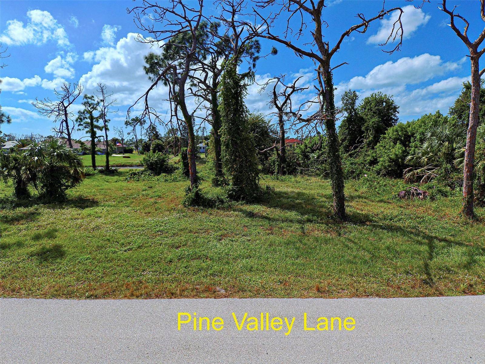 Rotonda West, FL 33947,26 PINE VALLEY LN