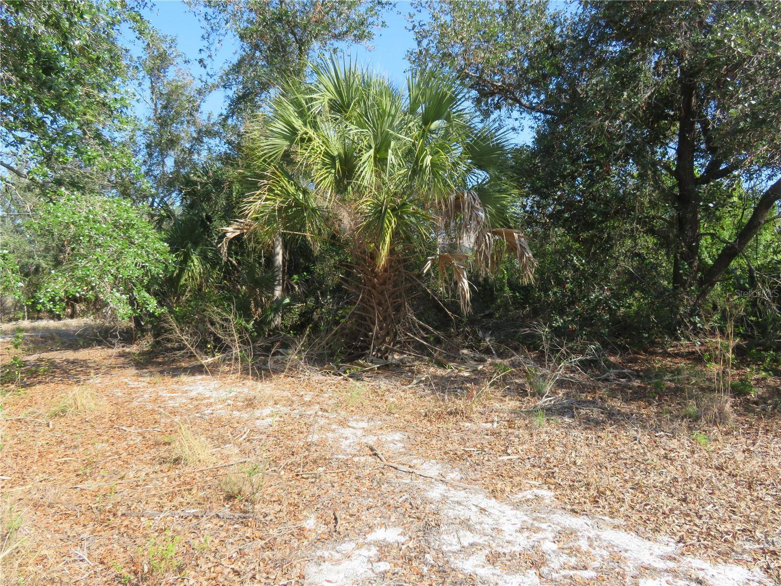 Englewood, FL 34224,6186 HERB ST