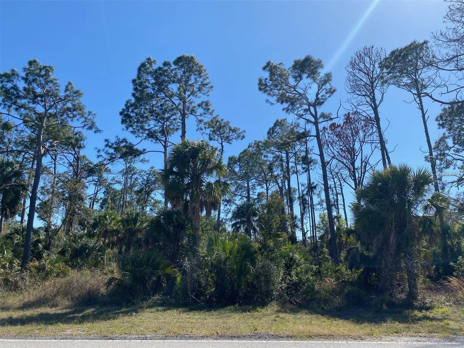 17467 and 17475 HILLSBOROUGH BLVD, Port Charlotte, FL 33954
