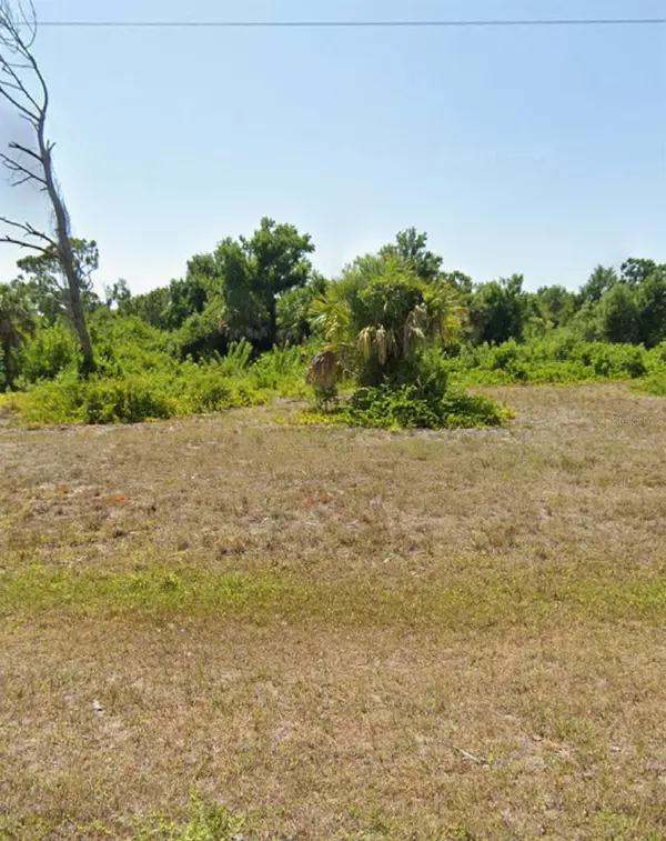 Rotonda West, FL 33947,17 DONLON DR