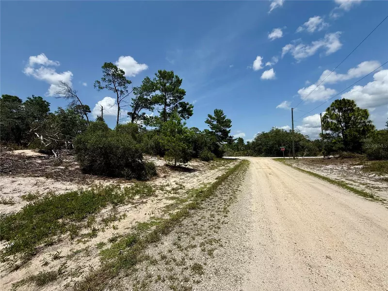 454 APPLE BLOSSOM CT, Lake Placid, FL 33852
