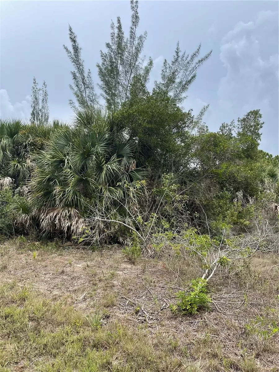 Port Charlotte, FL 33981,15551 BRAINBRIDGE CIR