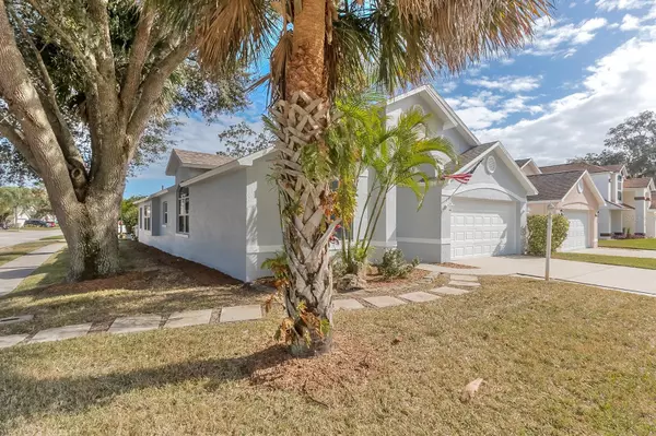 542 Cedaredge DR, New Smyrna Beach, FL 32168