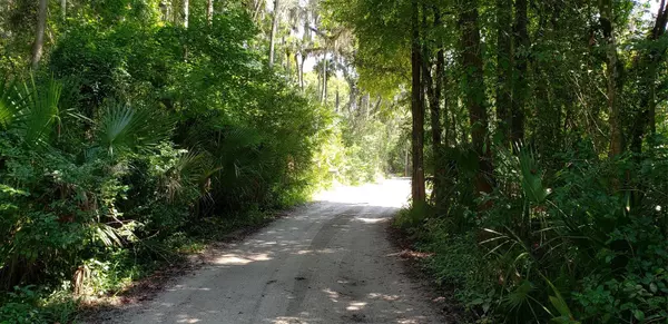 New Smyrna Beach, FL 32168,725 Trophy Hunter Trail