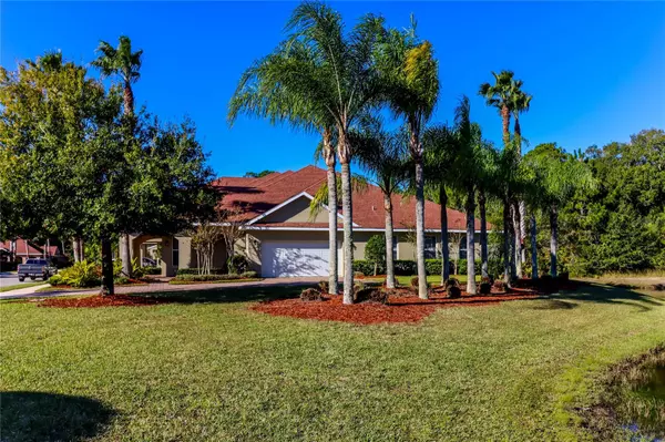 New Smyrna Beach, FL 32168,3545 Romea CIR