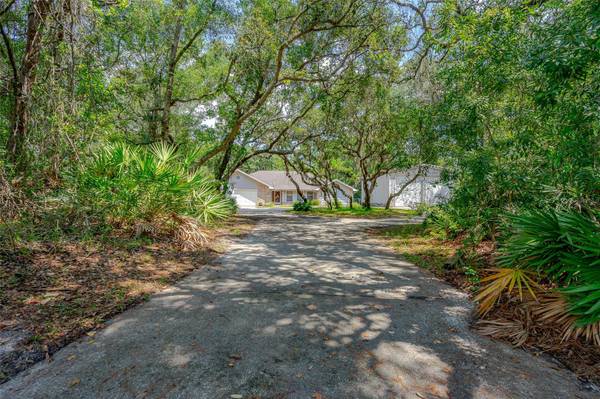 1900 Baytree CT,  Port Orange,  FL 32128
