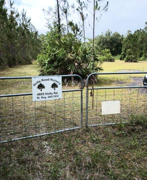4605 Holly RD, New Smyrna Beach, FL 32168