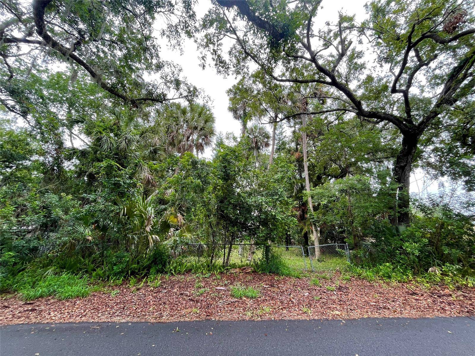 0 Neal ST, New Smyrna Beach, FL 32168
