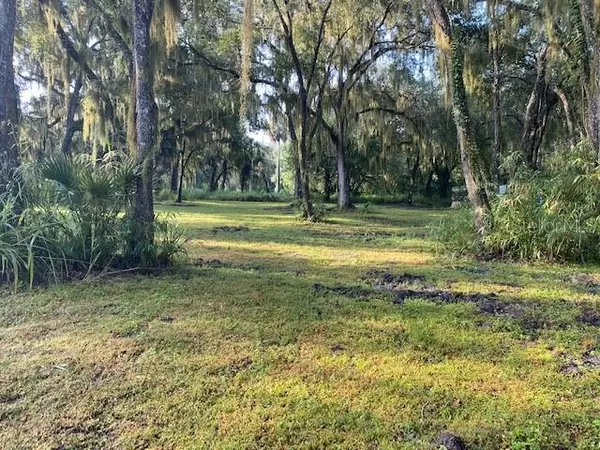 Oak Hill, FL 32759,351 Palm AVE