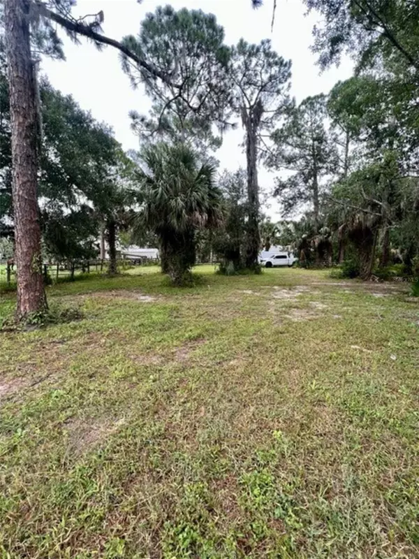 New Smyrna Beach, FL 32168,2585 Pioneer TRL