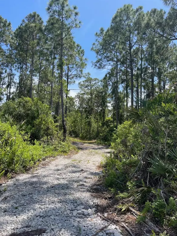 Oak Hill, FL 32759,0 MAGDA