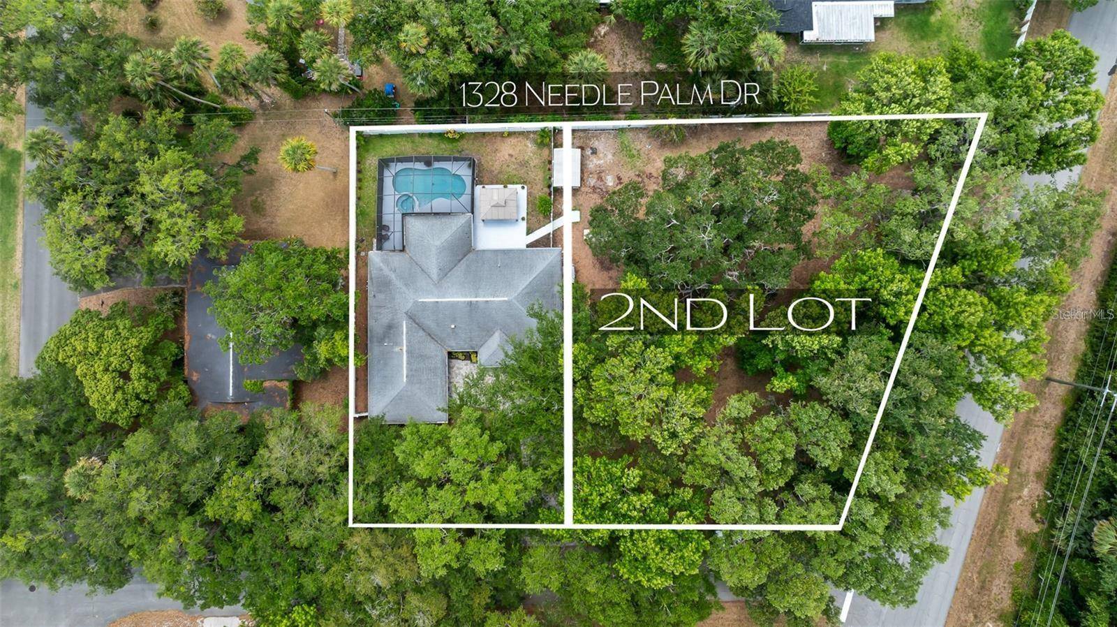 Edgewater, FL 32132,NEEDLE PALM DR