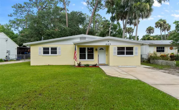 207 SANDY LN, New Smyrna Beach, FL 32168