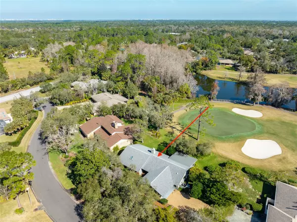 New Smyrna Beach, FL 32168,507 BOXWOOD LN