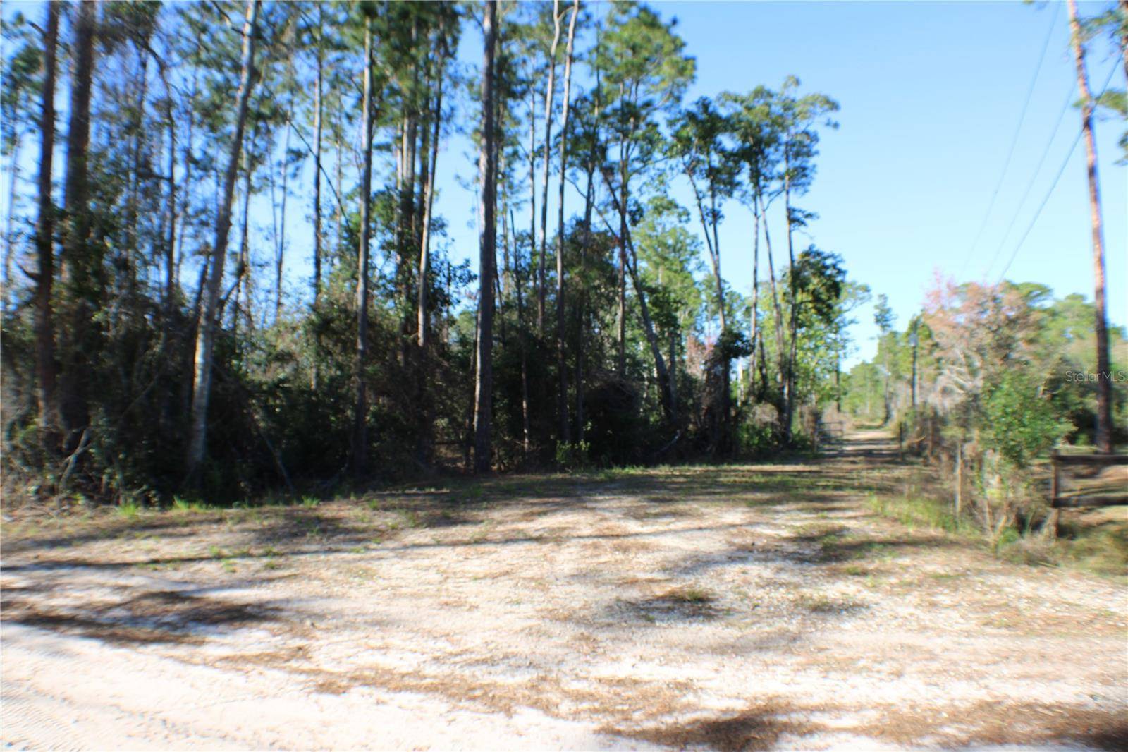 3991 SWAMP DEER RD, New Smyrna Beach, FL 32168
