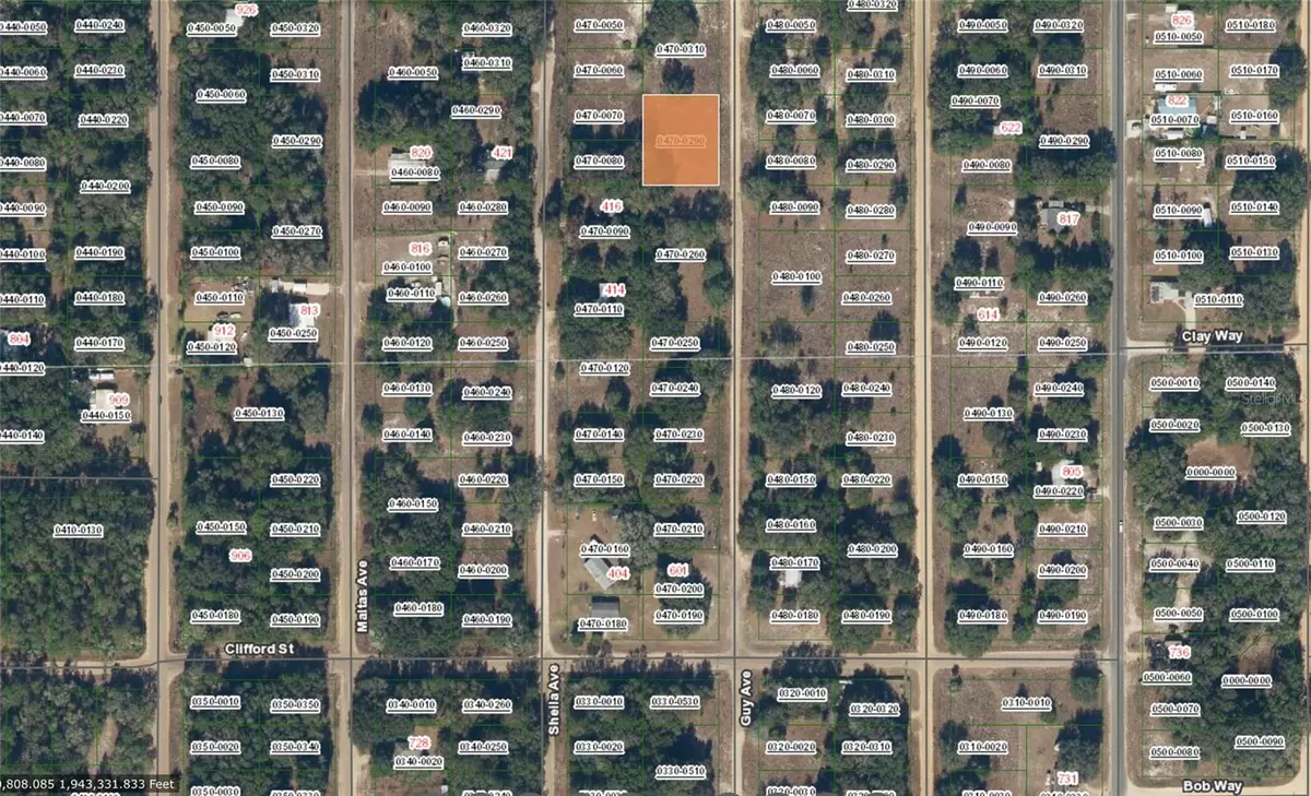 Interlachen, FL 32148,GUY AVE