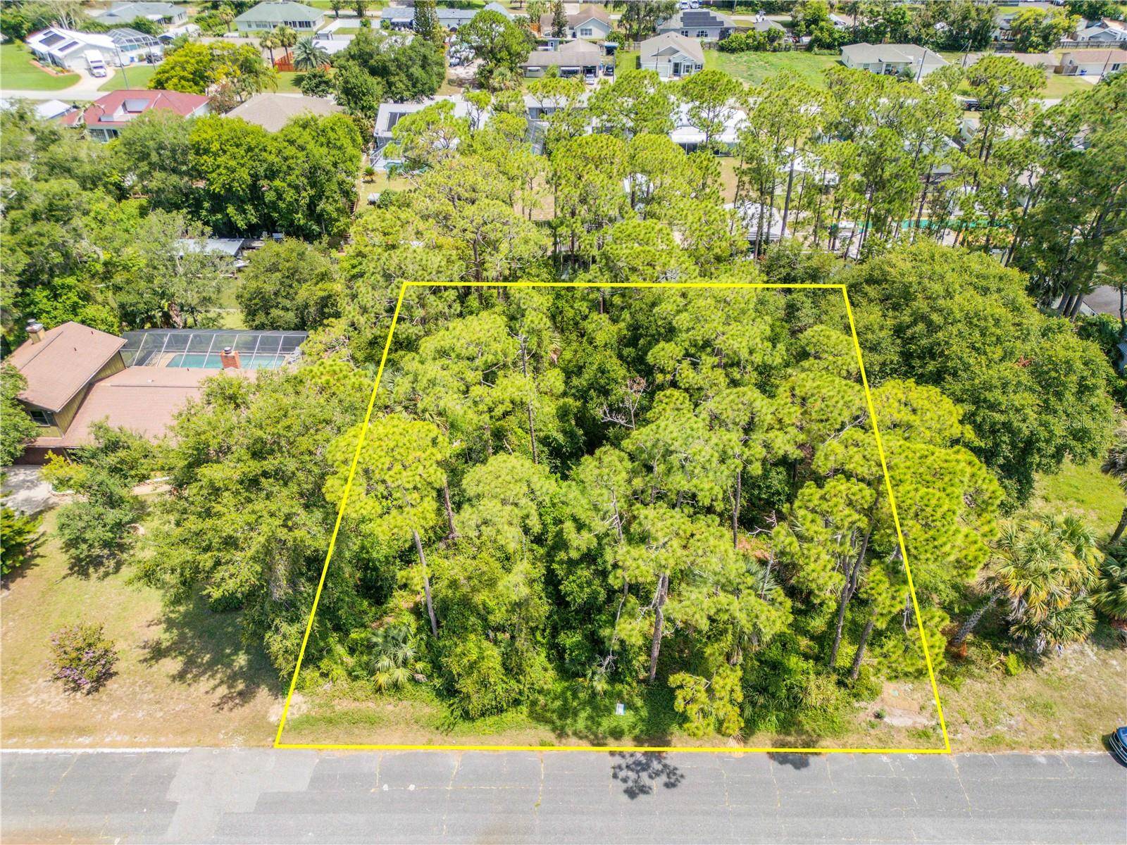 Edgewater, FL 32141,133 HAZELWOOD RIVER RD