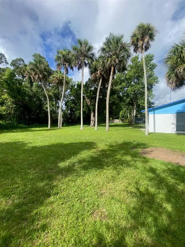 Edgewater, FL 32132,302 ADELE ST