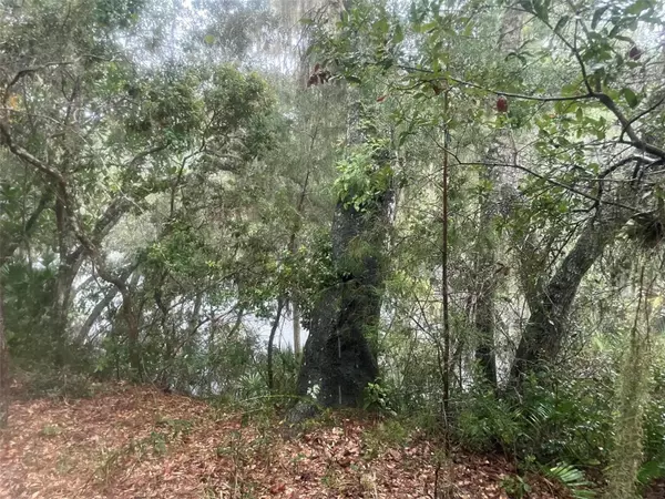 Port Orange, FL 32128,1783 TAYLOR RD