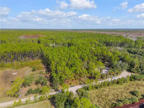 New Smyrna Beach, FL 32168,490 S SAMSULA DR