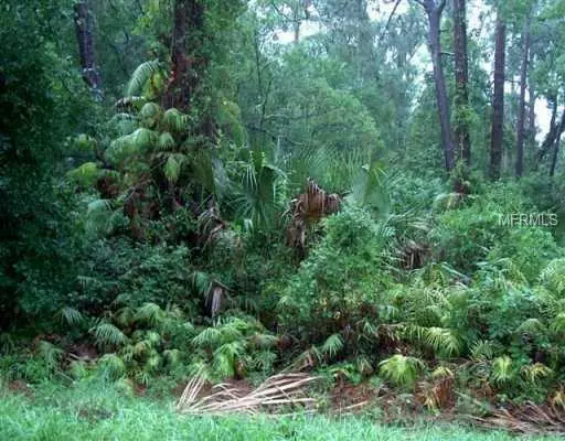 Sanford, FL 32771,S WHITE CEDAR RD