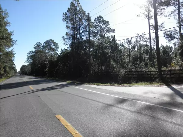 1925 LEAH STAR RD, Astor, FL 32102
