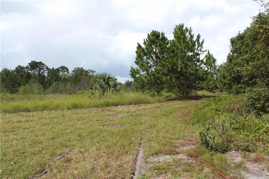 ORANGE AVE, Umatilla, FL 32784