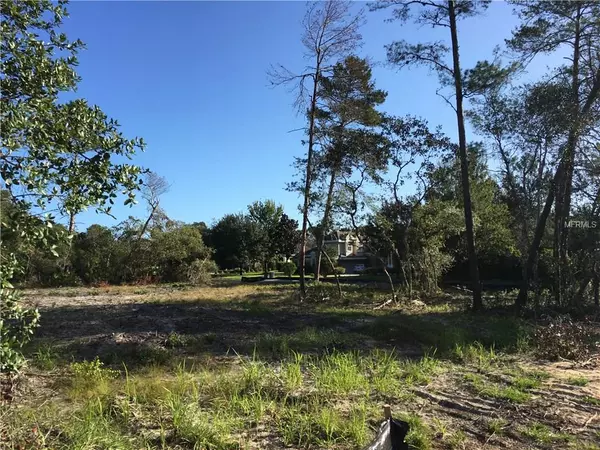 Weeki Wachee, FL 34607,7263 LOBLOLLY CT