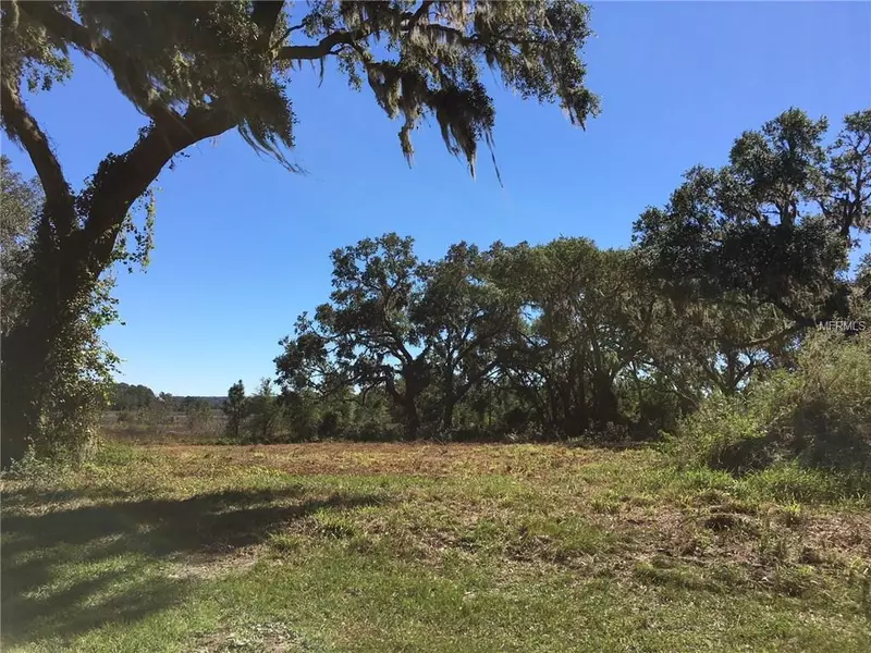 447 LONG AND WINDING RD, Groveland, FL 34737