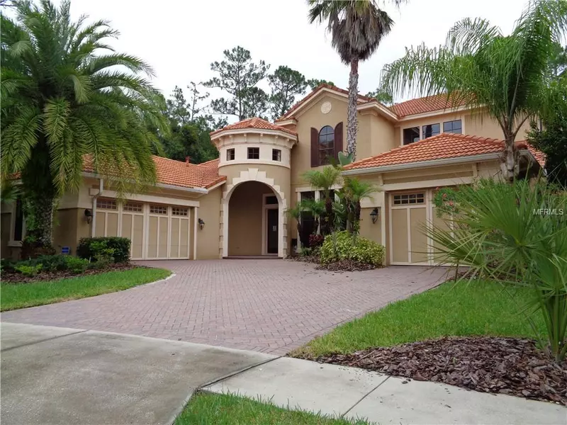 17303 EMERALD CHASE DR, Tampa, FL 33647