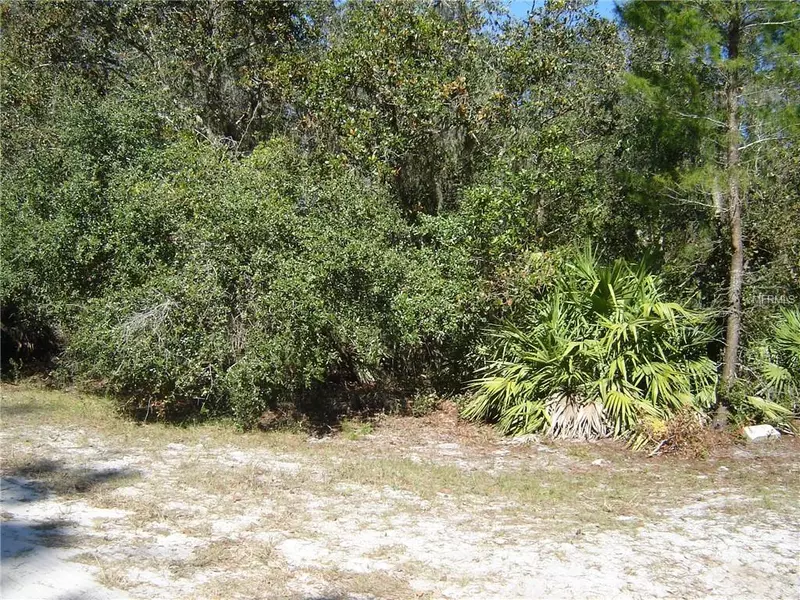 SUNSET TRL, Geneva, FL 32732