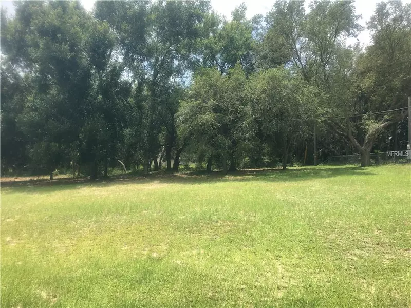 SKYLINE DR, Lady Lake, FL 32159