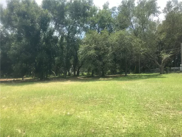 SKYLINE DR, Lady Lake, FL 32159