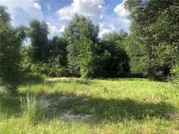 W OSCEOLA RD, Geneva, FL 32732